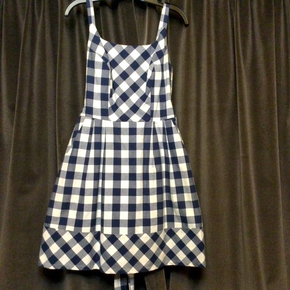 Birds of North America lined cotton ginham sundress